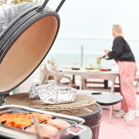 The Pink Penthouse Apartment De Panne